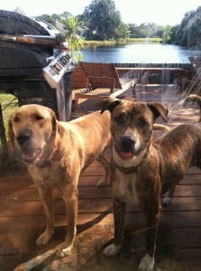 Daisy-Roscoe-223x300